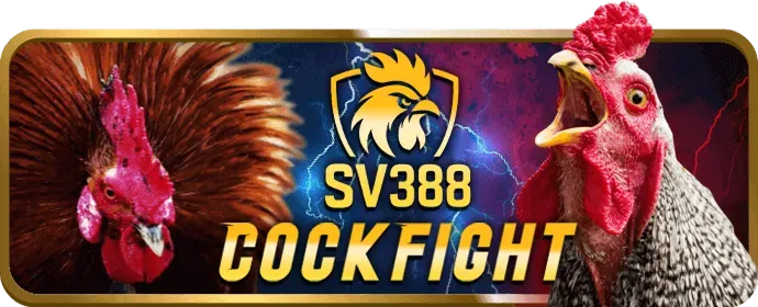 Bảo vệ dữ liệu người dùng E2BETVIP